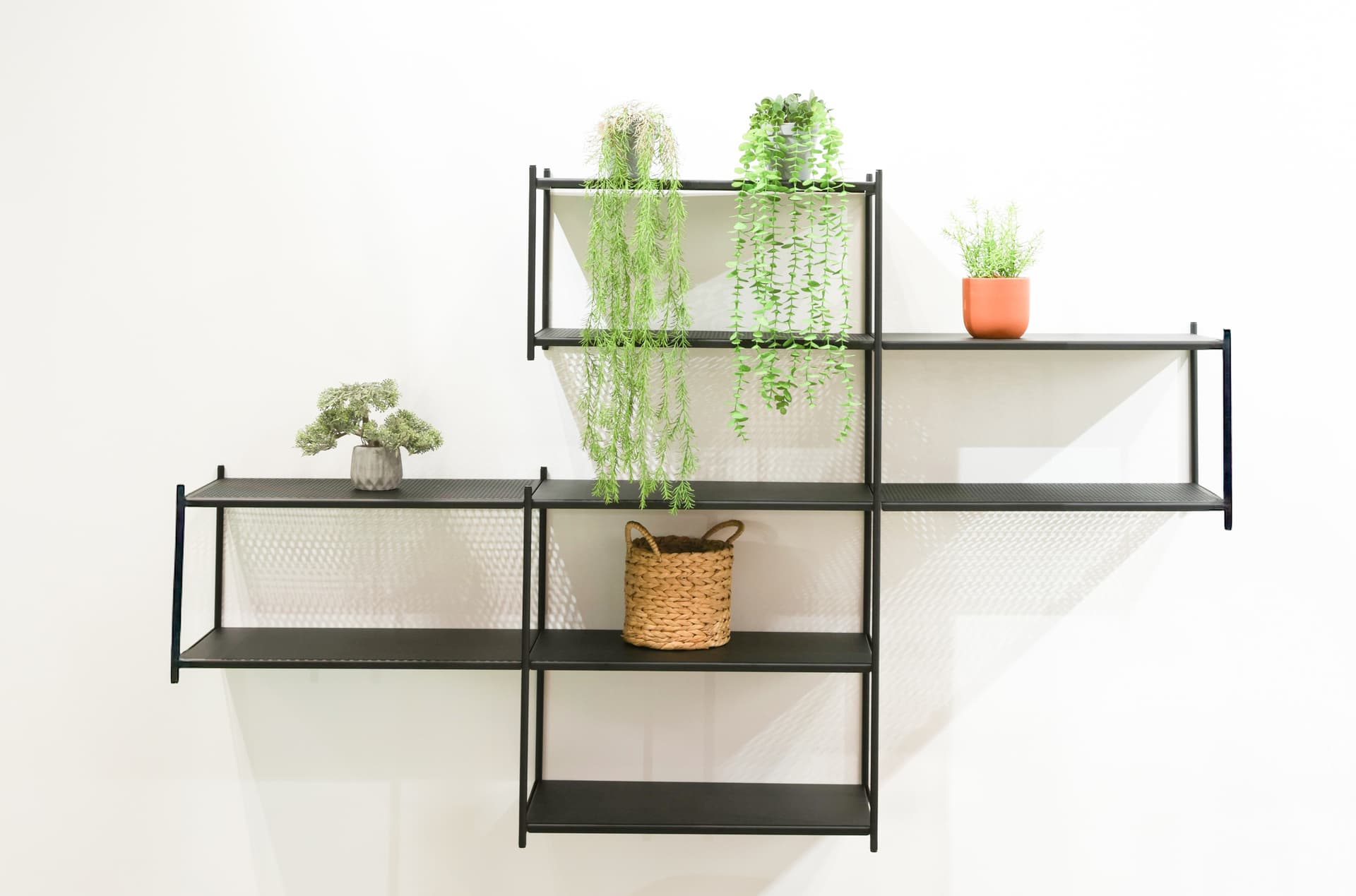shelves