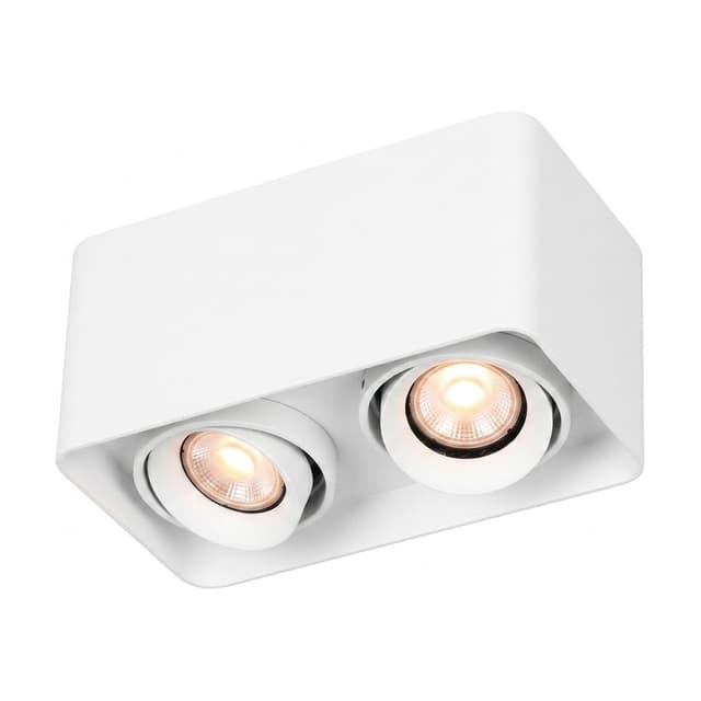 Strom Dual Ceiling Lamp