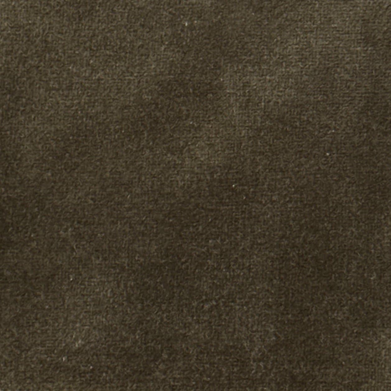 Cotton Velvet Cypress
