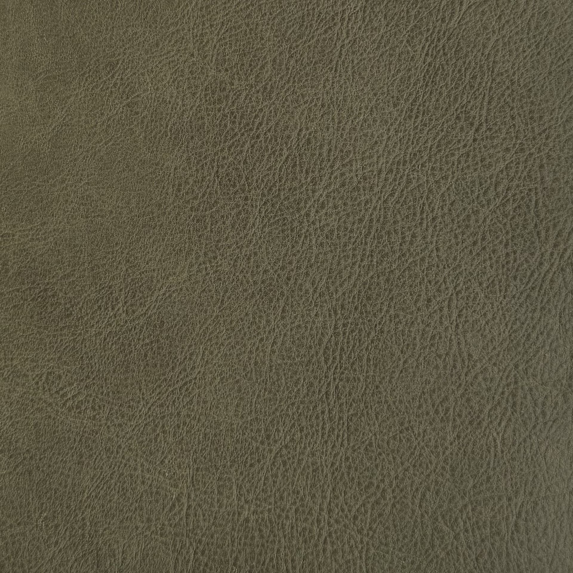 Chalk Olive