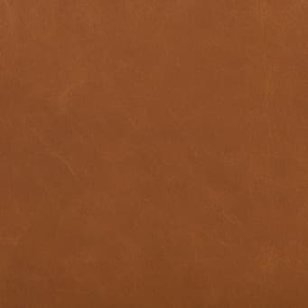 Panama Tan